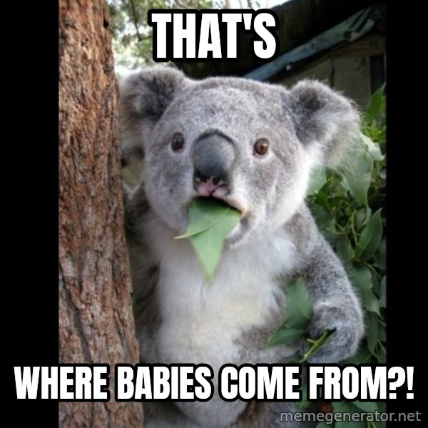 Koala can't believe it meme: That's / Where babies come from?!