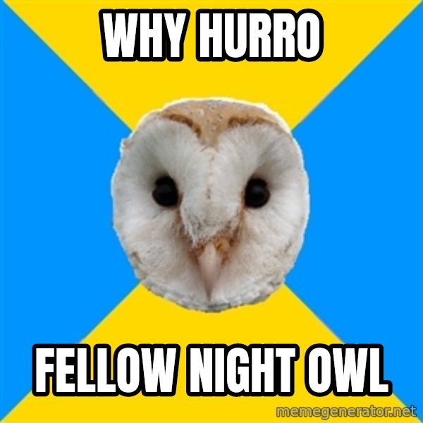 Bipolar Owl meme: Why hurro / fellow night owl
