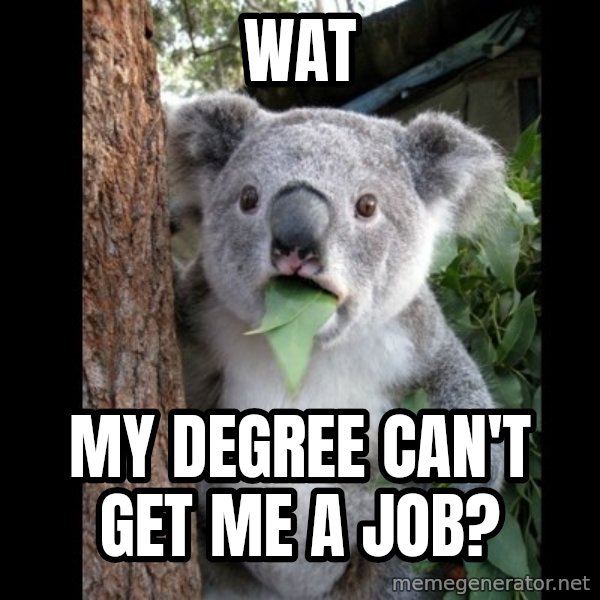 Koala can't believe it meme: wat / my degree can't get me a job?