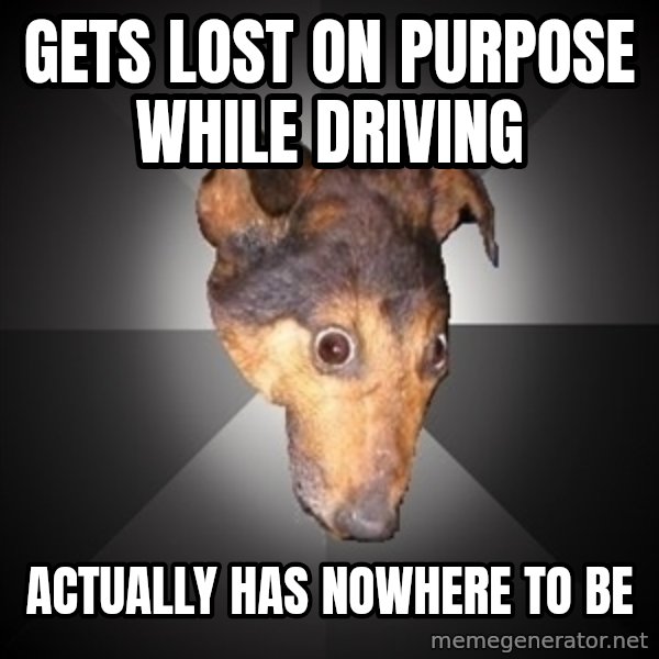 Depression Dog meme: gets lost on purpose while driving / actually has nowhere to be