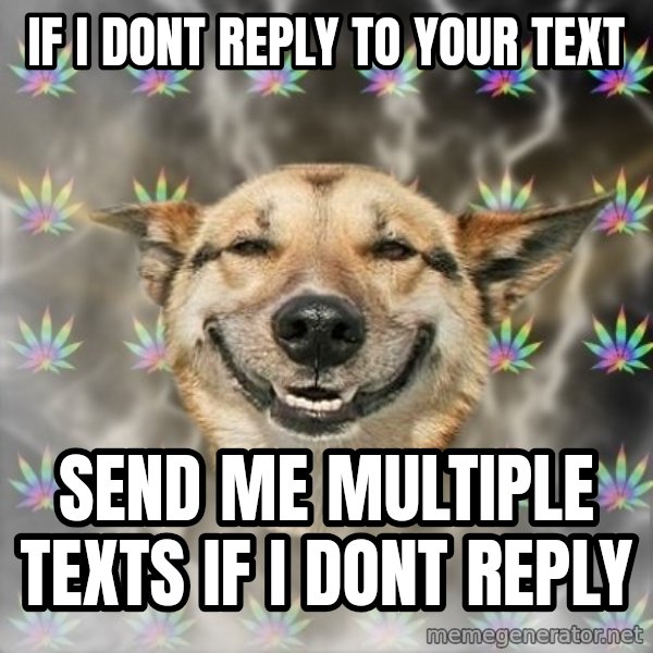 Stoner Dog meme: if i dont reply to your text / send me multiple texts if i dont reply