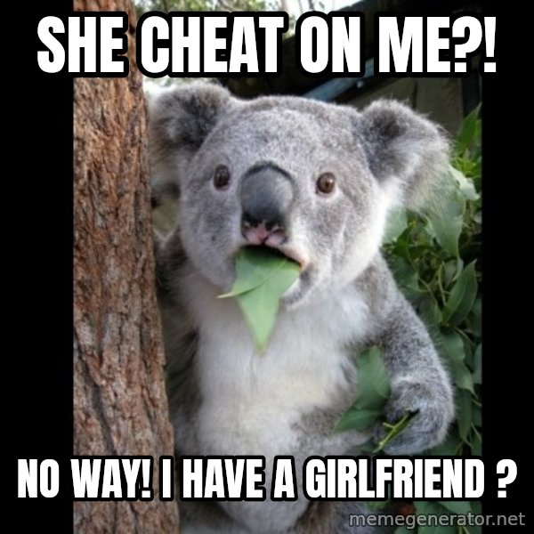 Koala can't believe it meme: She cheat on me?! / No way! I haVe a giRlfriEnd ?