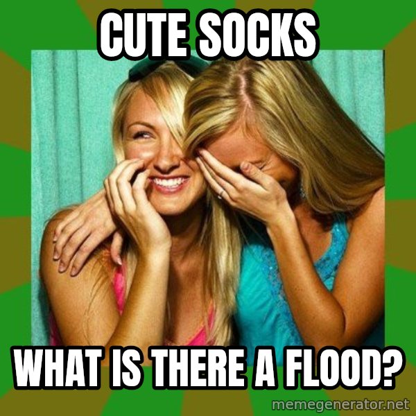 Laughing Girls  meme: cute socks / what is there a flood?