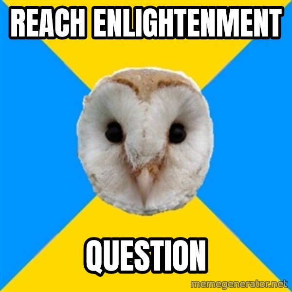 Bipolar Owl meme: reach enlightenment / question