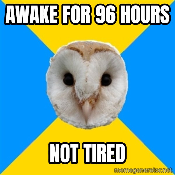 Bipolar Owl meme: awake for 96 hours / not tired