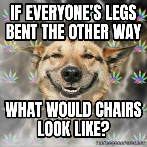 Stoner Dog meme: if everyone's legs bent the other way / what would chairs look like?