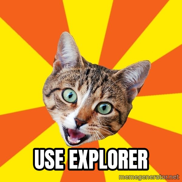 Bad Advice Cat meme: Use explorer