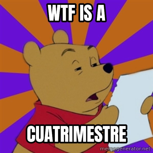 Skeptical Pooh meme: wtf is a / cuatrimestre