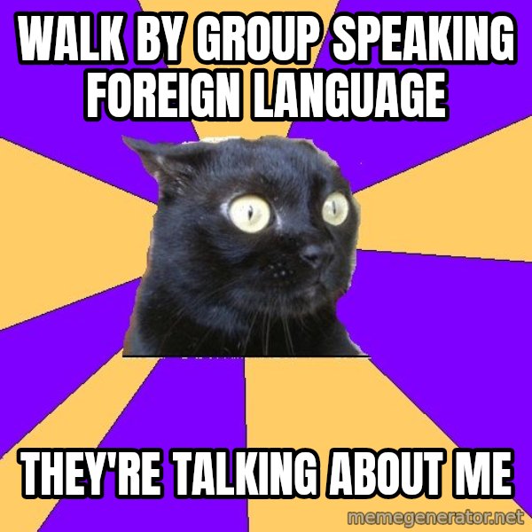 Anxiety Cat meme: walk by group speaking foreign language / they're talking about me