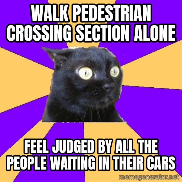 Anxiety Cat meme: walk pedestrian crossing section alone / feel judged by all the people waiting in their cars