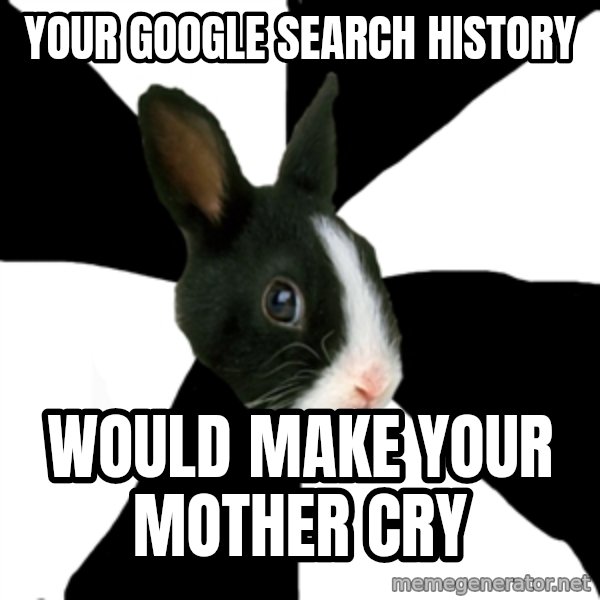 Roleplaying Rabbit meme: your google search history / would make your mother cry