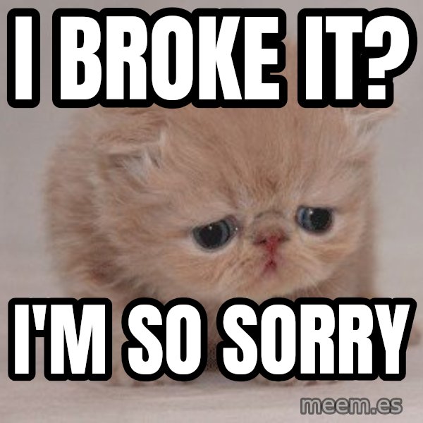 Super Sad Cat meme: I broke it? / I'm so sorry