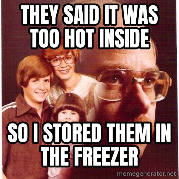 Vengeance Dad meme: They said it was too hot inside / so i stored them in the freezer