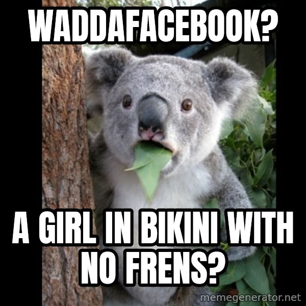 Koala can't believe it meme: WaddaFacebook? / a girl in bikini with no frens?