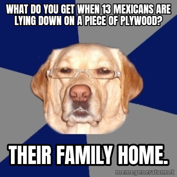 Racist Dog meme: What do you get when 13 mexicans are lying down on a piece of plywood? / Their family home.