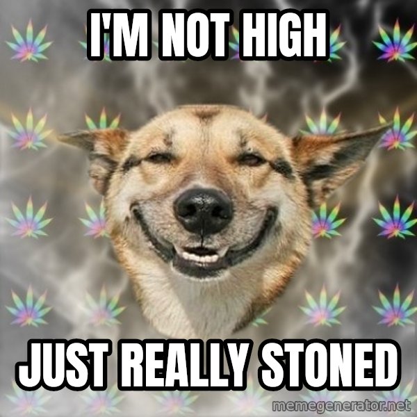 Stoner Dog meme: i'm not high / just really stoned
