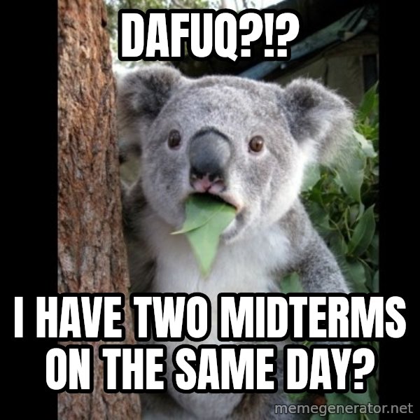 Koala can't believe it meme: Dafuq?!? / I have two midterms on the same day?
