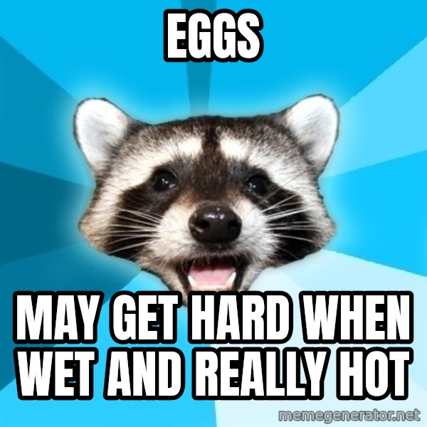 Lame Pun Coon meme: Eggs / May Get hard when wet and really hot