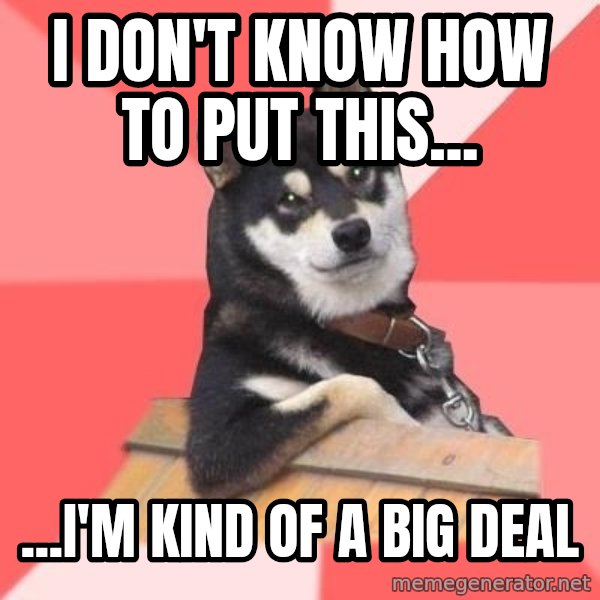 Cool Dog meme: I don't know how to put this... / ...i'm kind of a big deal