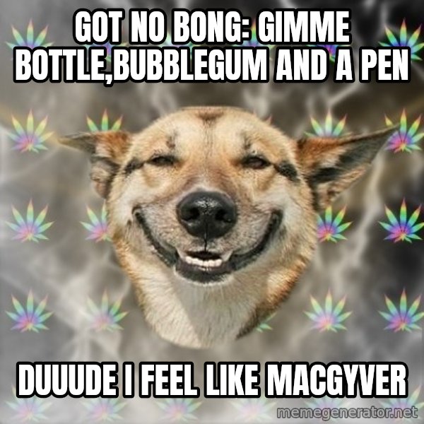 Stoner Dog meme: got no bong: Gimme bottle,bubblegum and a pen / Duuude i feel like macgyver