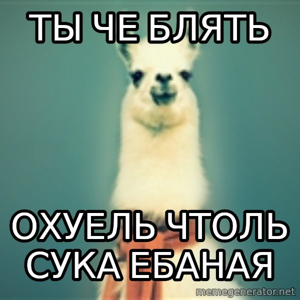 Pancakes llama meme: ТЫ Че блять / охуель чтоль сука ебаная