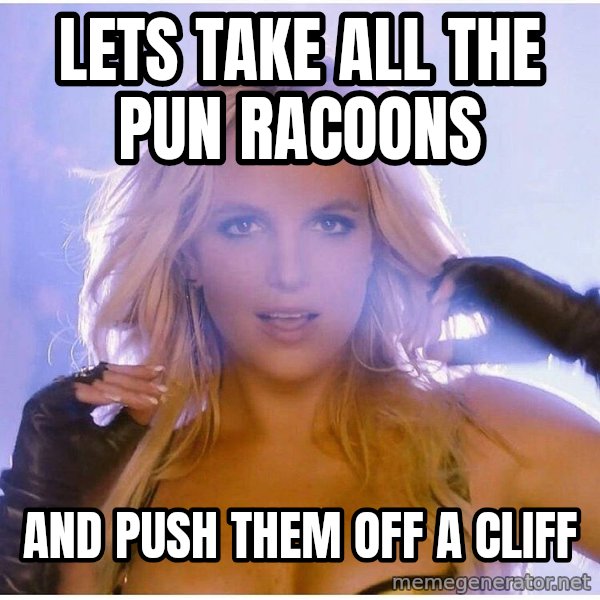 patrick star meme: lets take all the pun racoons / and push them off a cliff