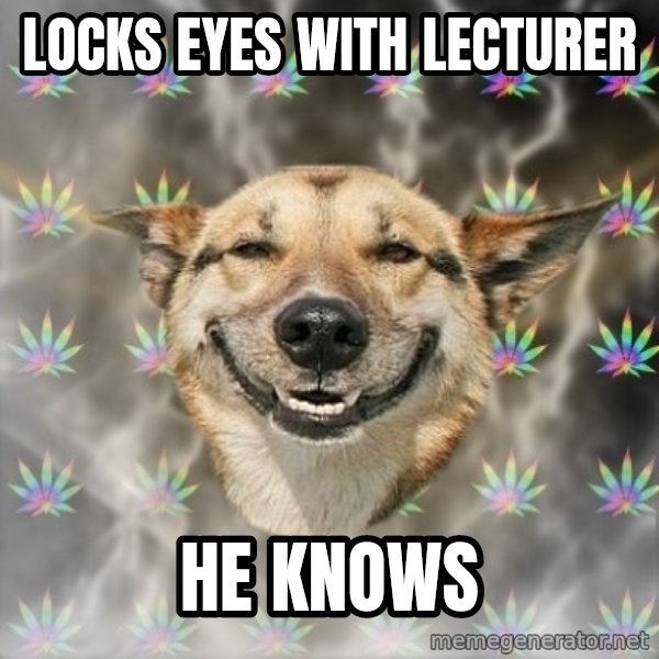 Stoner Dog meme: Locks eyes with lecturer / he knows