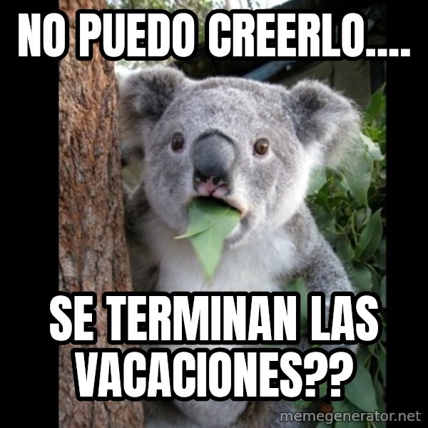 Koala can't believe it meme: no puedo creerlo.... / se terminan las vacaciones??