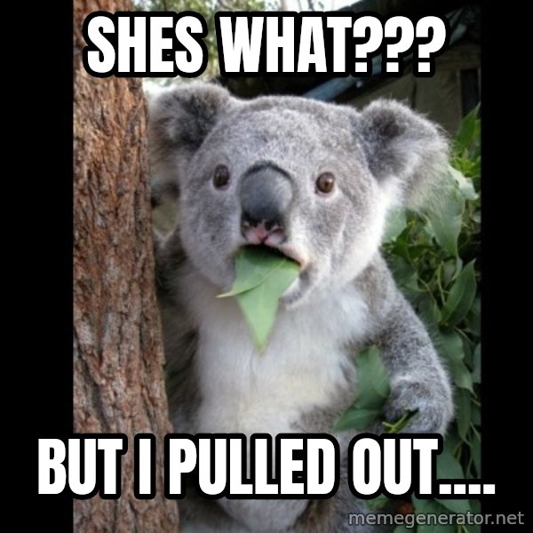Koala can't believe it meme: shes what??? / but i pulled out....