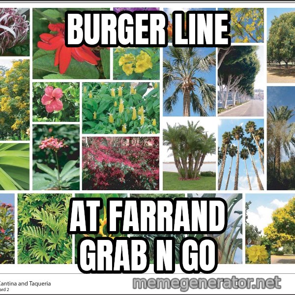imageboard meme: burger line / At farrand grab n go