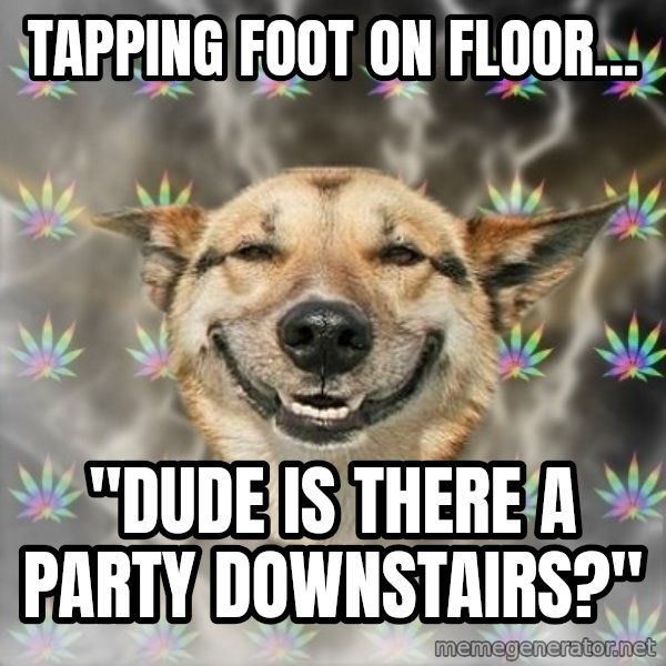 Stoner Dog meme: Tapping Foot on floor... / "dude is there a party downstairs?"