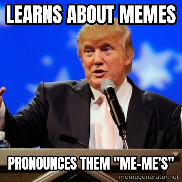 Annoying Facebook Girl meme: LEARNS ABOUT MEMES / PRONOUNCES THEM "mE-ME'S"