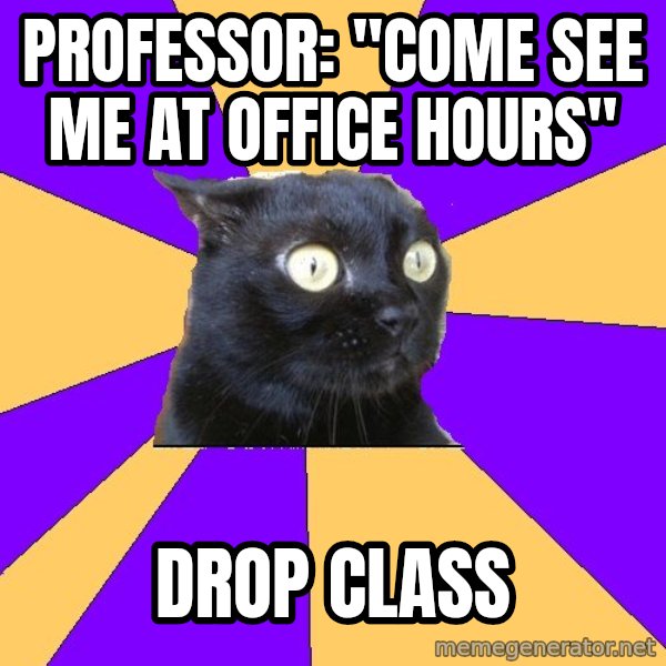 Anxiety Cat meme: professor: "come see me at office hours" / drop class