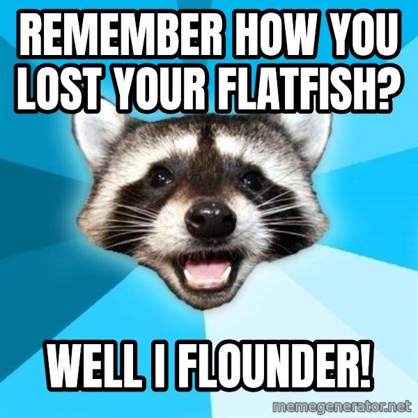 Lame Pun Coon meme: Remember how you lost your flatfish? / Well I flounder!