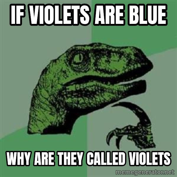 Philosoraptor meme: If violets are blue / why are they called violets