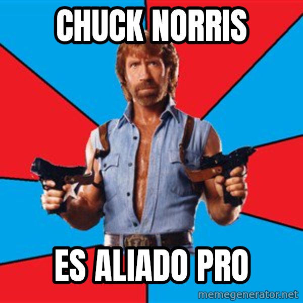 Chuck Norris  meme: Chuck norris / es aliado pro
