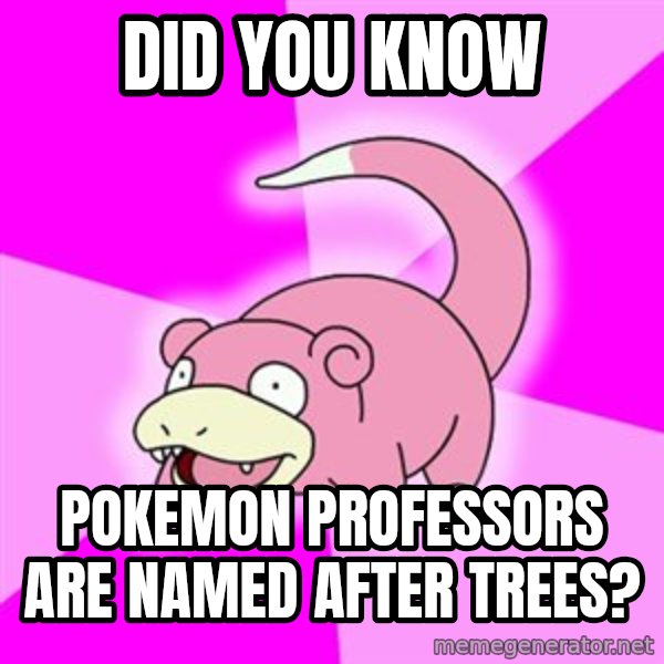 Slowpoke meme: did you know / pokemon professors are named after trees?