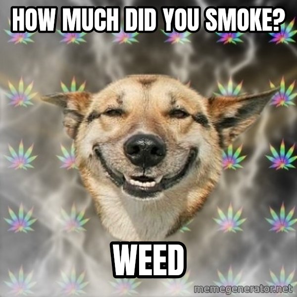 Stoner Dog meme: how much did you smoke? / weed