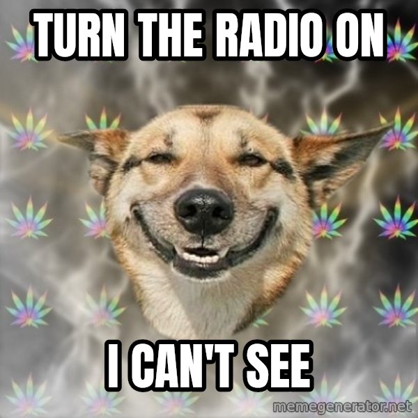 Stoner Dog meme: Turn THE RADIO ON / I can't SEE