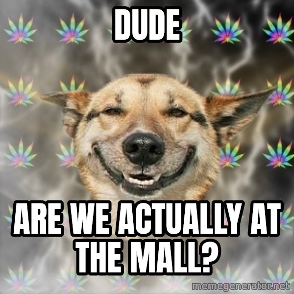 Stoner Dog meme: Dude / are we actually at the mall?