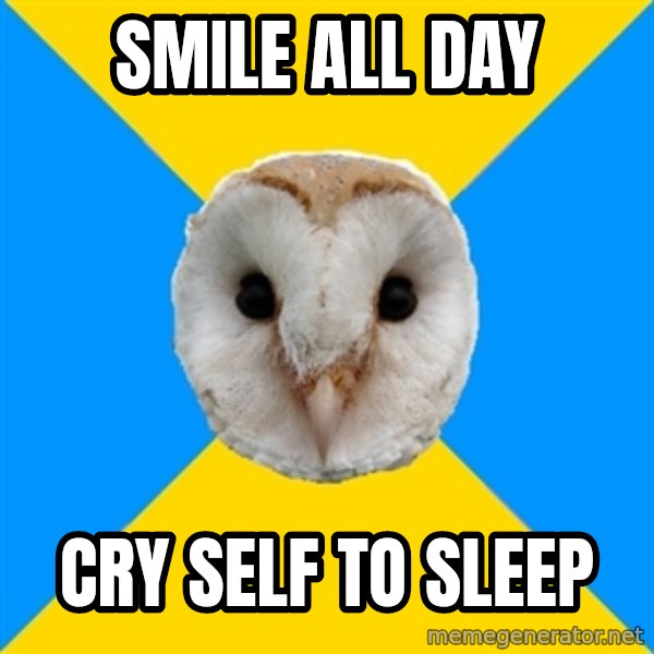 Bipolar Owl meme: Smile all day / cry self to sleep