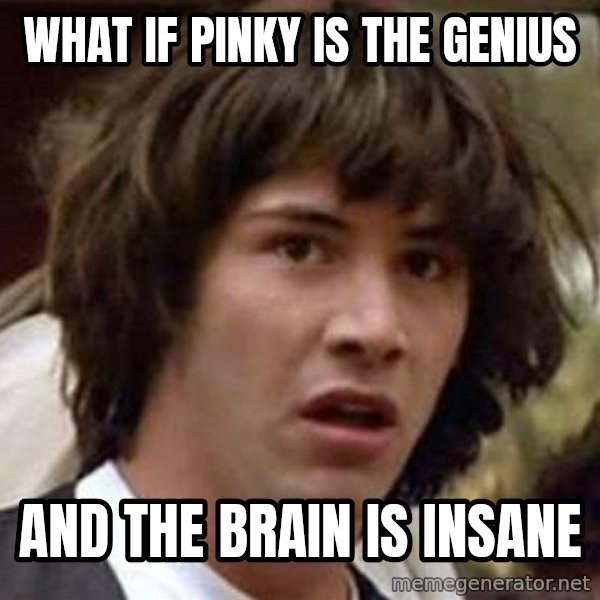 Conspiracy Keanu meme: What if pinky is the genius / and the brain is insane