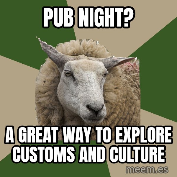 Sociology Student Sheep meme: Pub night? / A great way to explore customs and culture