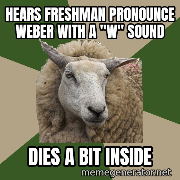 Sociology Student Sheep meme: Hears Freshman pronounce Weber with a "w" sound / Dies A bit inside