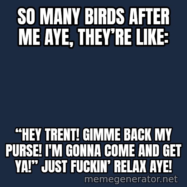 Trent From Punchy meme: So many birds after me aye, they’re like: / “HEY TRENT! GIMME BACK MY PURSE! I'M GONNA COME AND GET YA!” Just fuckin’ relax aye!
