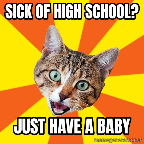 Bad Advice Cat meme: sick of high school? / just have a baby