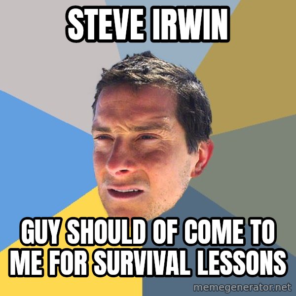 Bear Grylls meme: steve irwin / guy should of come to me for survival lessons