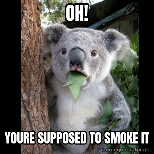 Koala can't believe it meme: Oh! / youre supposed to smoke it