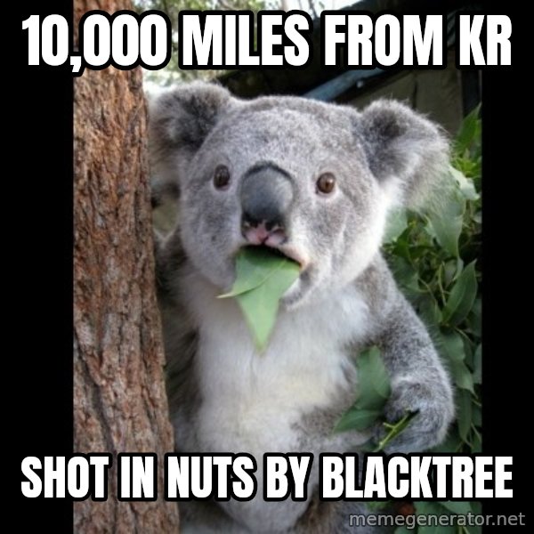 Koala can't believe it meme: 10,000 Miles from Kr / Shot in nuts by blacktree