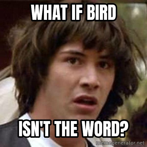 Conspiracy Keanu meme: WHAT IF BIRD / ISN'T THE WORD?